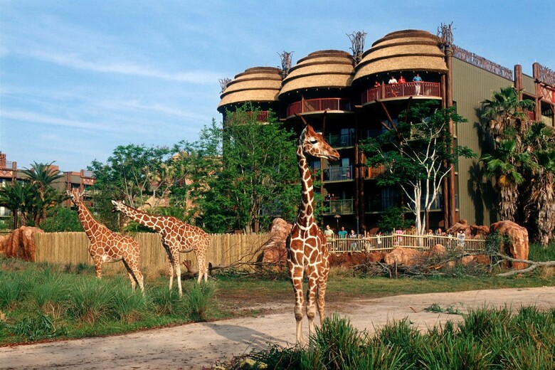 Hotel Disney's Animal Kingdom Lodge