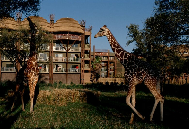 Hotel Disney's Animal Kingdom Lodge