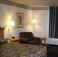 Hotel Comfort Inn  And  Suites