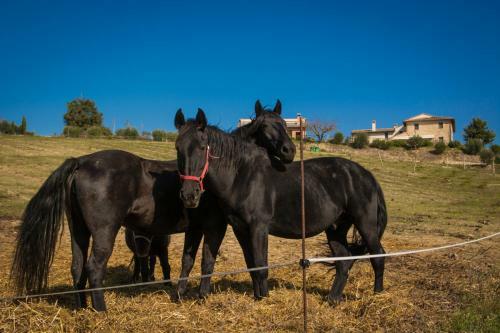Agroturismo Agriturismo San Silvestro