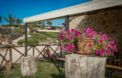 Agroturismo Agriturismo San Silvestro