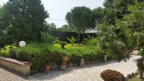 Villa Tenuta La Fresa