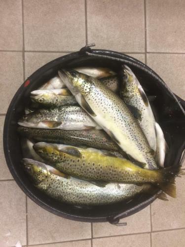 Kj�snes Feriehytter