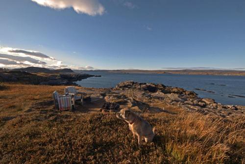 Shore Croft