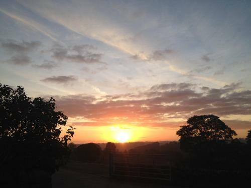 Park Farm B&B