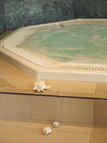 Hotel Wellness Jean De Carro