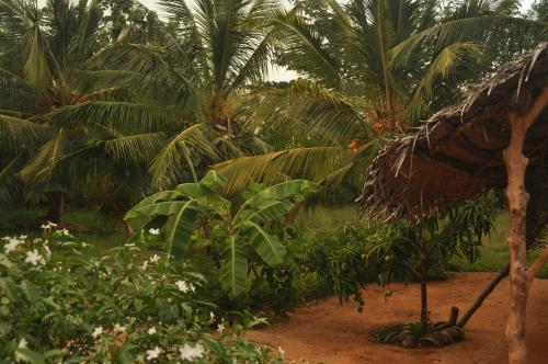 Hostal Wadiya Tourist Guest House