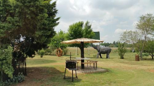 Hostal Elephant Lodge Guesthouse