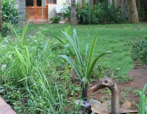 Bed & Breakfast River Bank Lapa