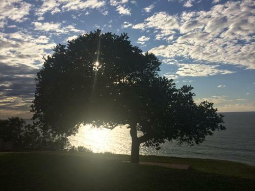 The Milkwood Beach Apartments