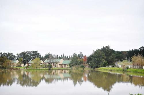Hostal Skilpadvlei Wine Farm