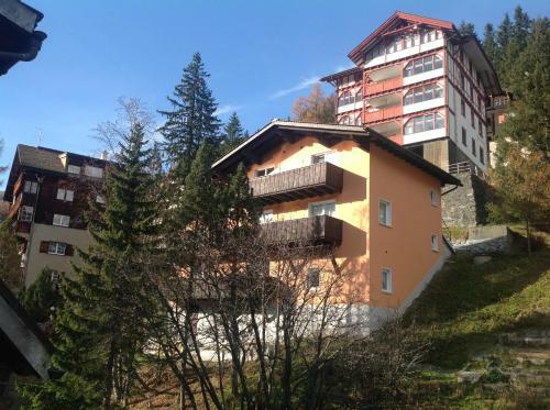 Apartamentos Chalet Tannenrain & Casa Alba