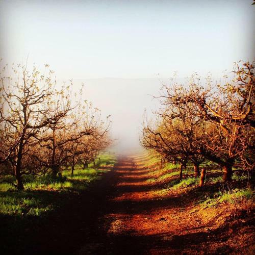 Agroturismo Cheverells Farm