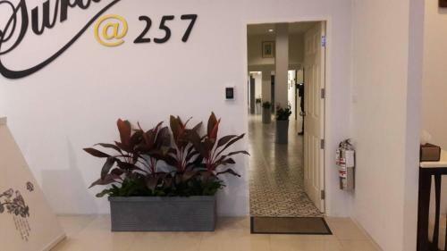 Hotel Surachet At 257 Boutique House