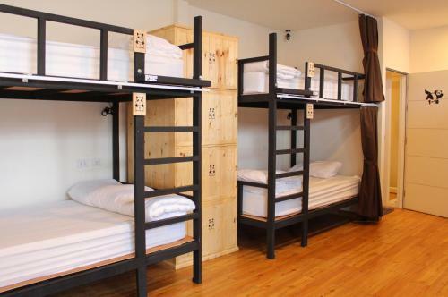 Mad Panda Hostel