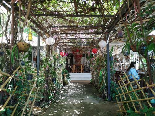 Hostal Patty's Secret Garden
