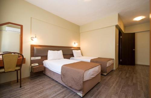 Hotel Temizay