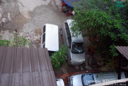 Windy Dalat