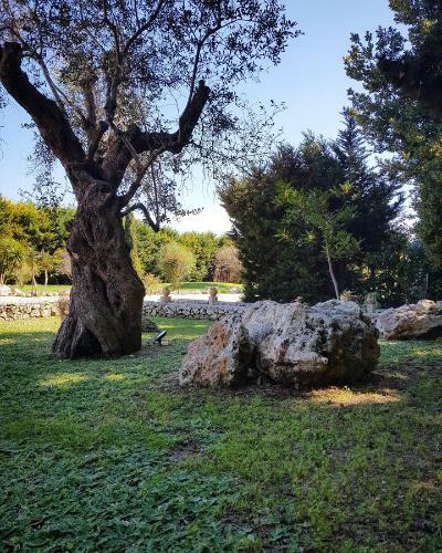 Hostal Casina Copini