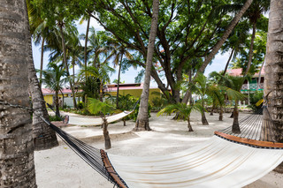Hotel Pineapple Beach Club