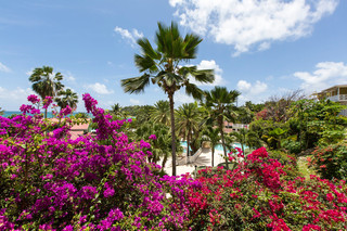 Hotel Pineapple Beach Club