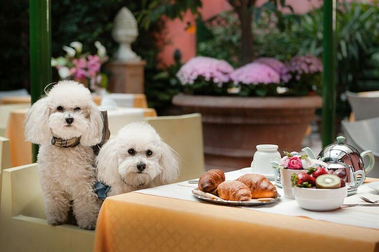 Hotel Palazzo Dal Borgo