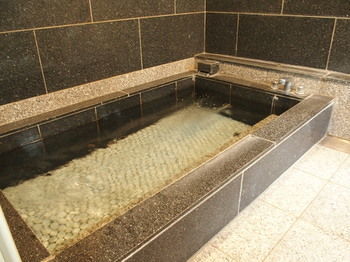 Hotel Guesthouse Hiiragi