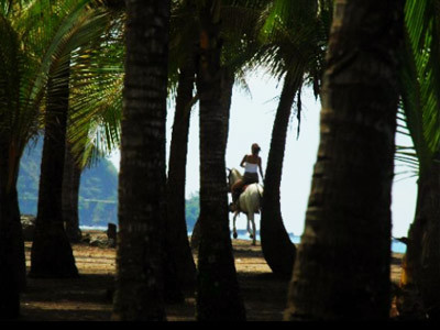 Canciones Del Mar Hotel