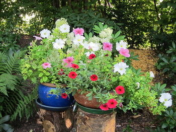 Haus Am Kurpark Hotel Garni