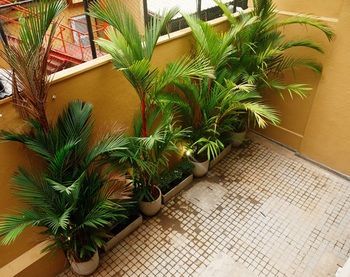 Albergue Cityrest Fort