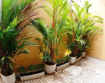 Albergue Cityrest Fort
