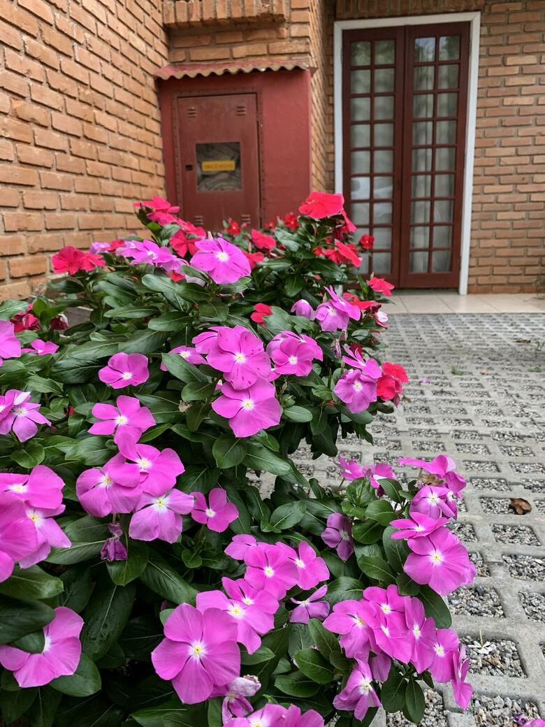Hotel S�o Sebasti�o Da Praia