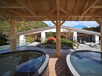 Hotel Hakone Yumoto Onsen Tenseien