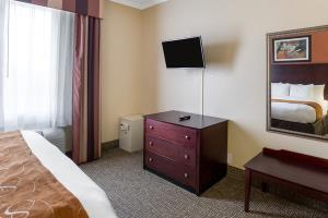 Hotel Comfort Suites (baytown)