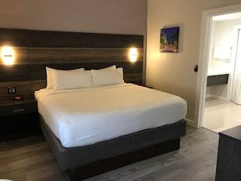 Hotel Holiday Inn Express Gainesville