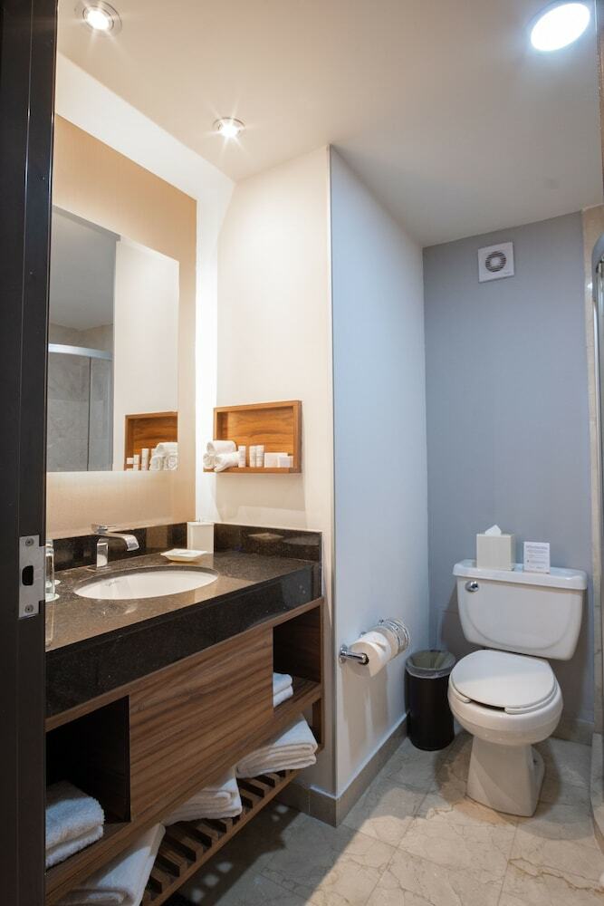 Hotel Wyndham Garden Polanco