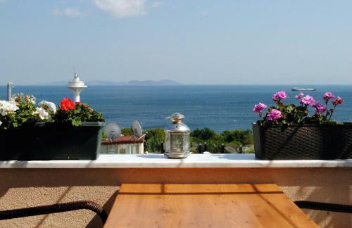 Hotel Buhara Family Inn