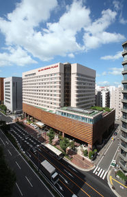 Hotel Crowne Plaza Ana Fukuoka