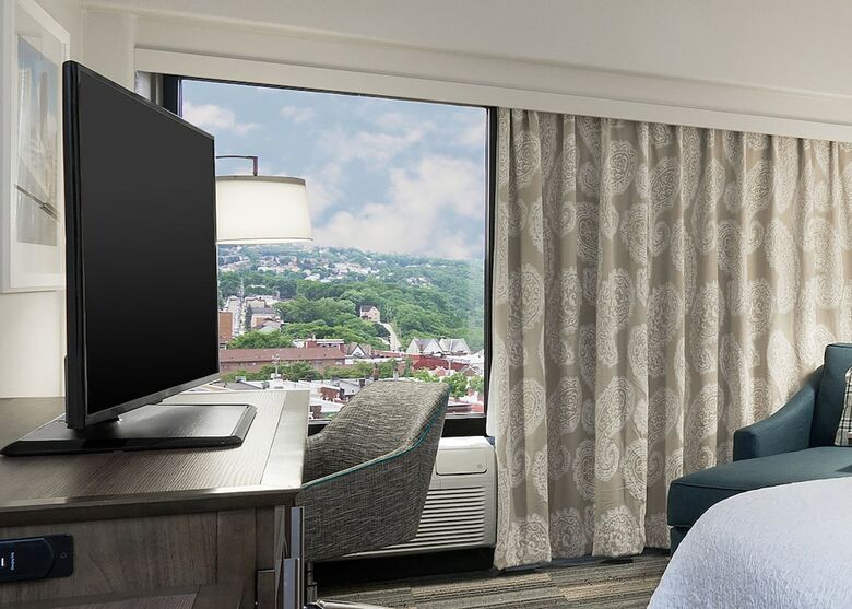 Hotel Hampton Inn Pittsburgh-university Center