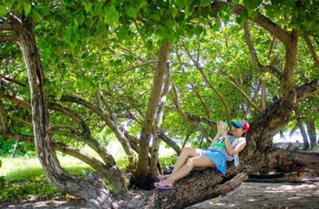 Hotel Sunshine Lodge