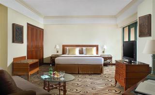 Hotel Melia Purosani