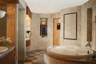 Hotel Melia Purosani