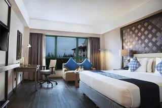 Hotel Melia Purosani