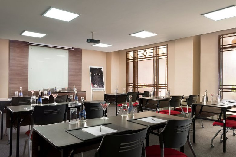 Hotel Melia Purosani