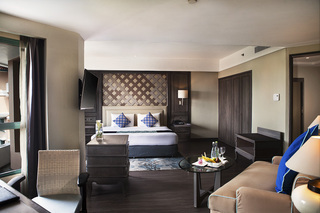 Hotel Melia Purosani