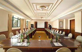 Hotel Melia Purosani