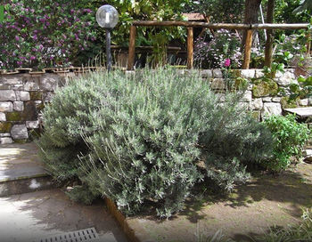 Residencia Casale Nunziatina