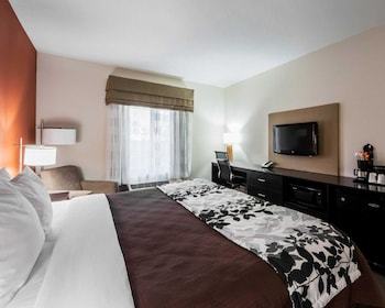 Hotel Sleep Inn & Suites
