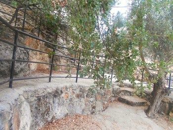 Apartamento Complejo Rural La Huerta