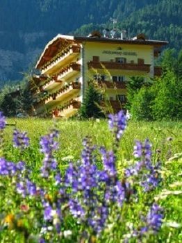 Al Piccolo Hotel